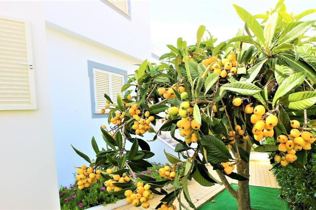 אלבופיירה Vila Ventura Marina מראה חיצוני תמונה